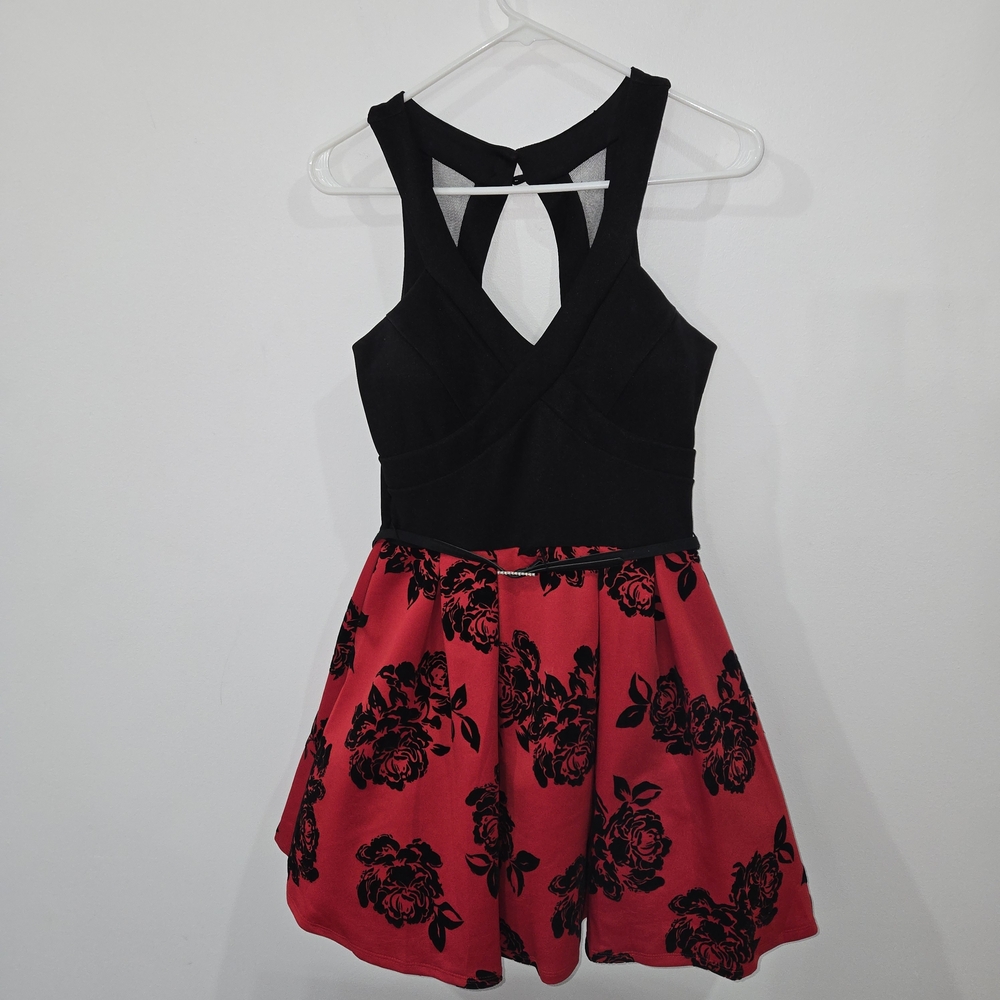 Crystal Doll Black & Red Floral Fit-and-Flare Mini Dress